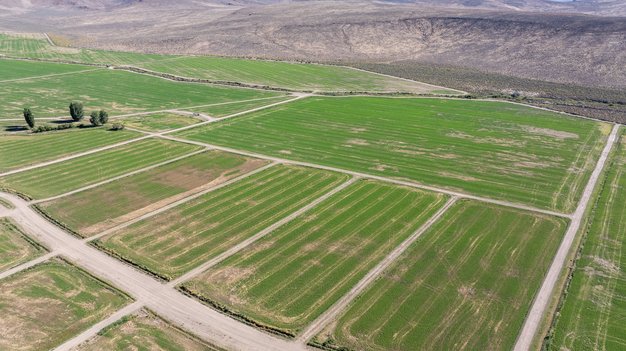 Aerial of irrigated green fields meeting open desert, northern Washoe County, Nevada